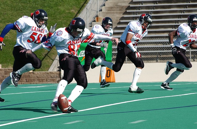 本文将深入 本文将深入