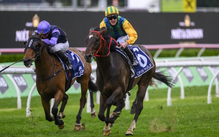 心球員孫興 心球員孫興