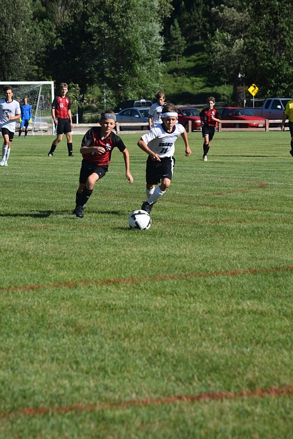 组织能力著 组织能力著