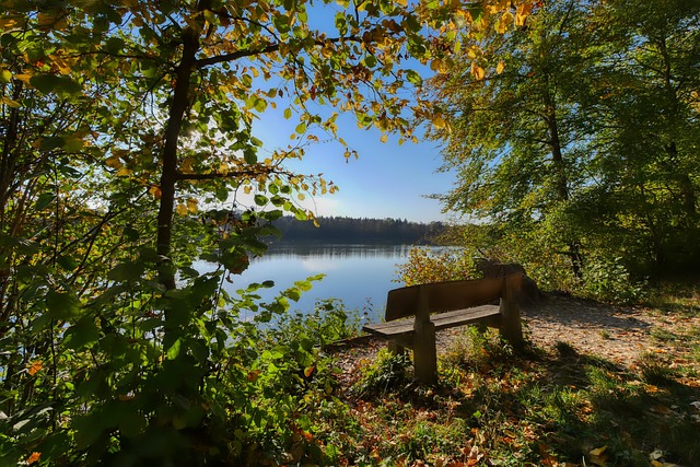 一则振奋人 一则振奋人