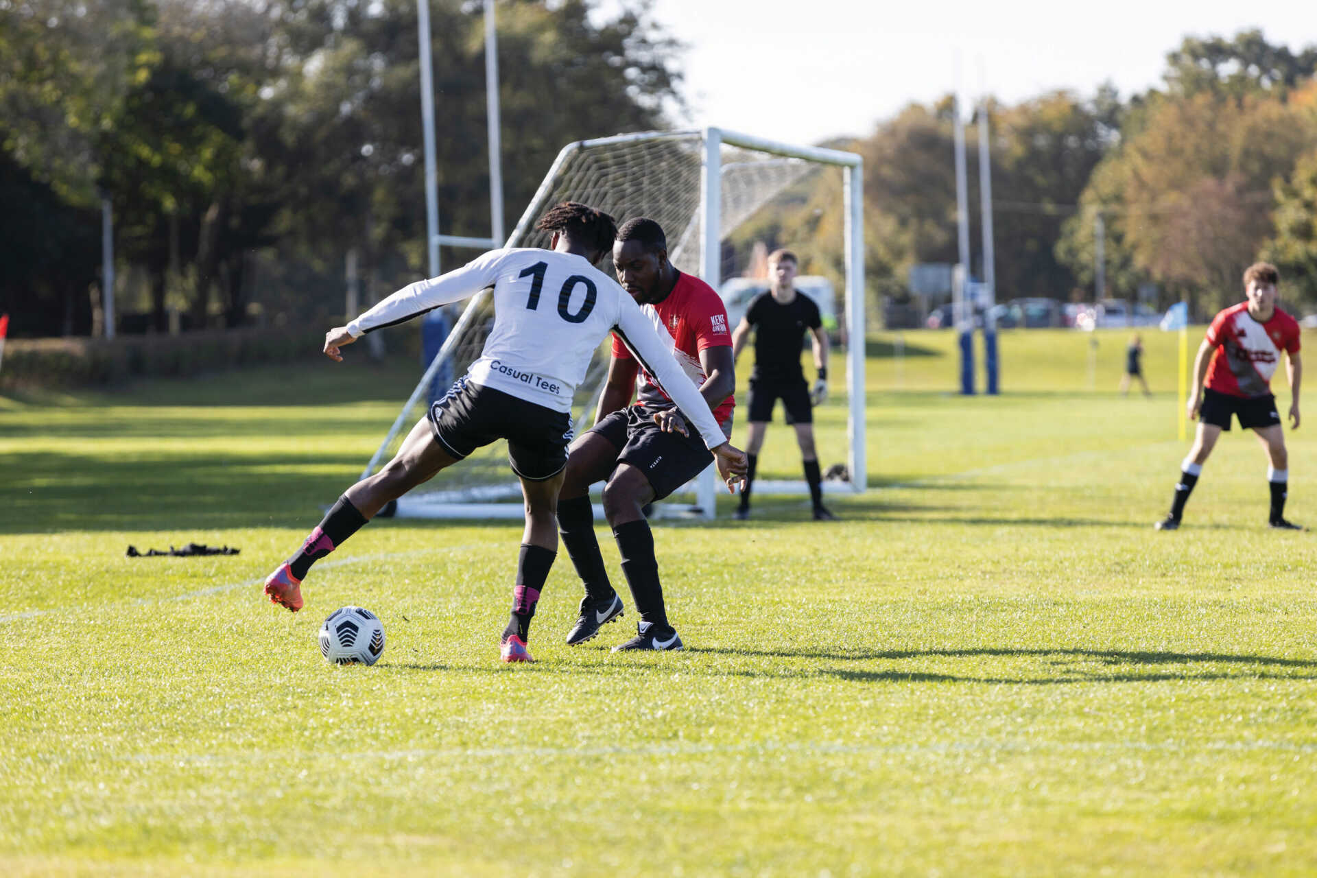 率的好消息 率的好消息