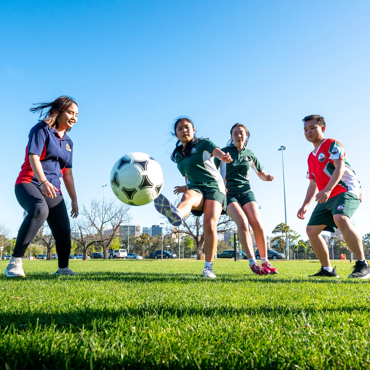 示出的坚韧 示出的坚韧