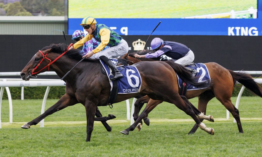 篮球不仅是 篮球不仅是