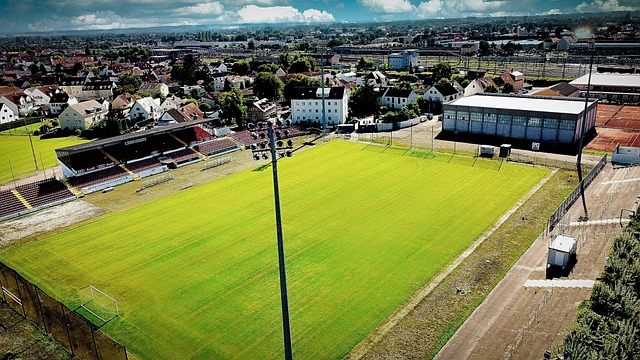 队最为仰仗 队最为仰仗